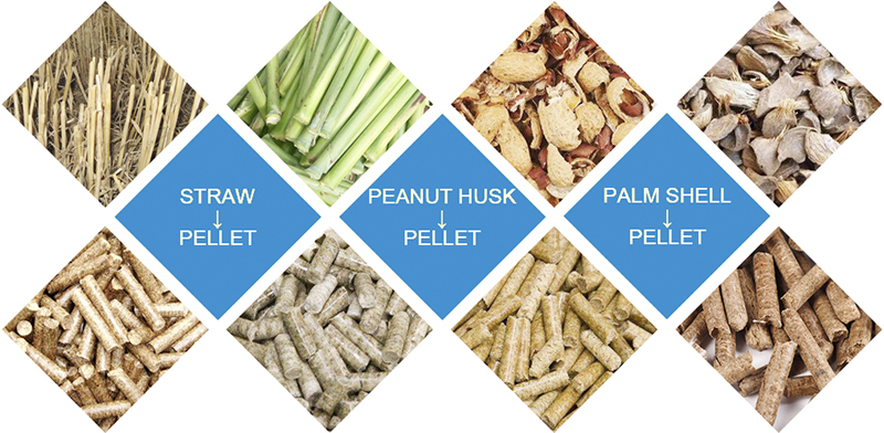 生物質(zhì)顆粒